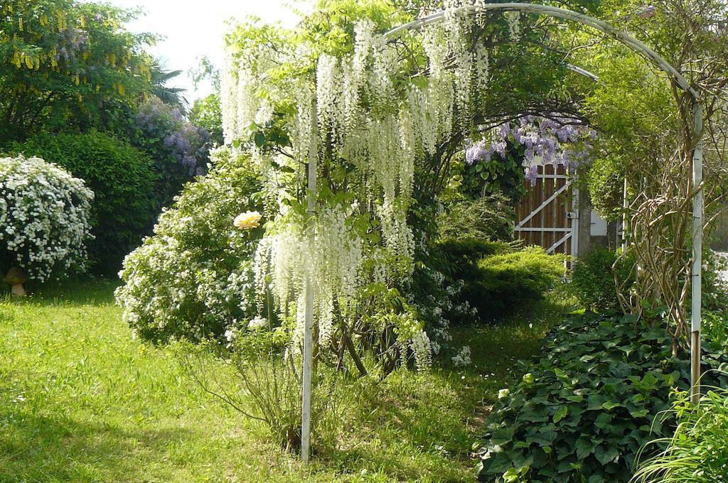 Bed and Breakfast Au thé à la menthe Romans-sur-Isère Esterno foto