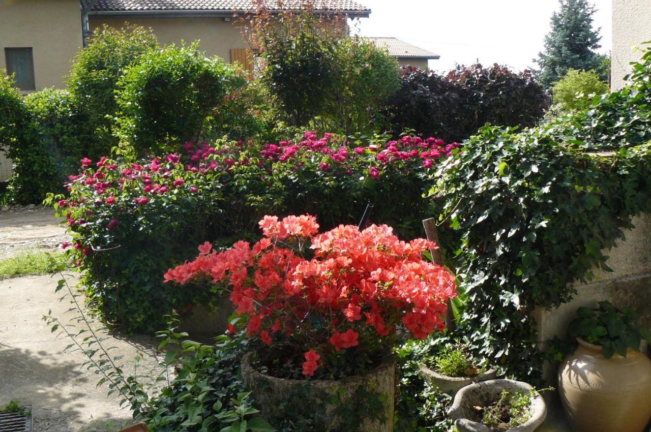 Bed and Breakfast Au thé à la menthe Romans-sur-Isère Esterno foto